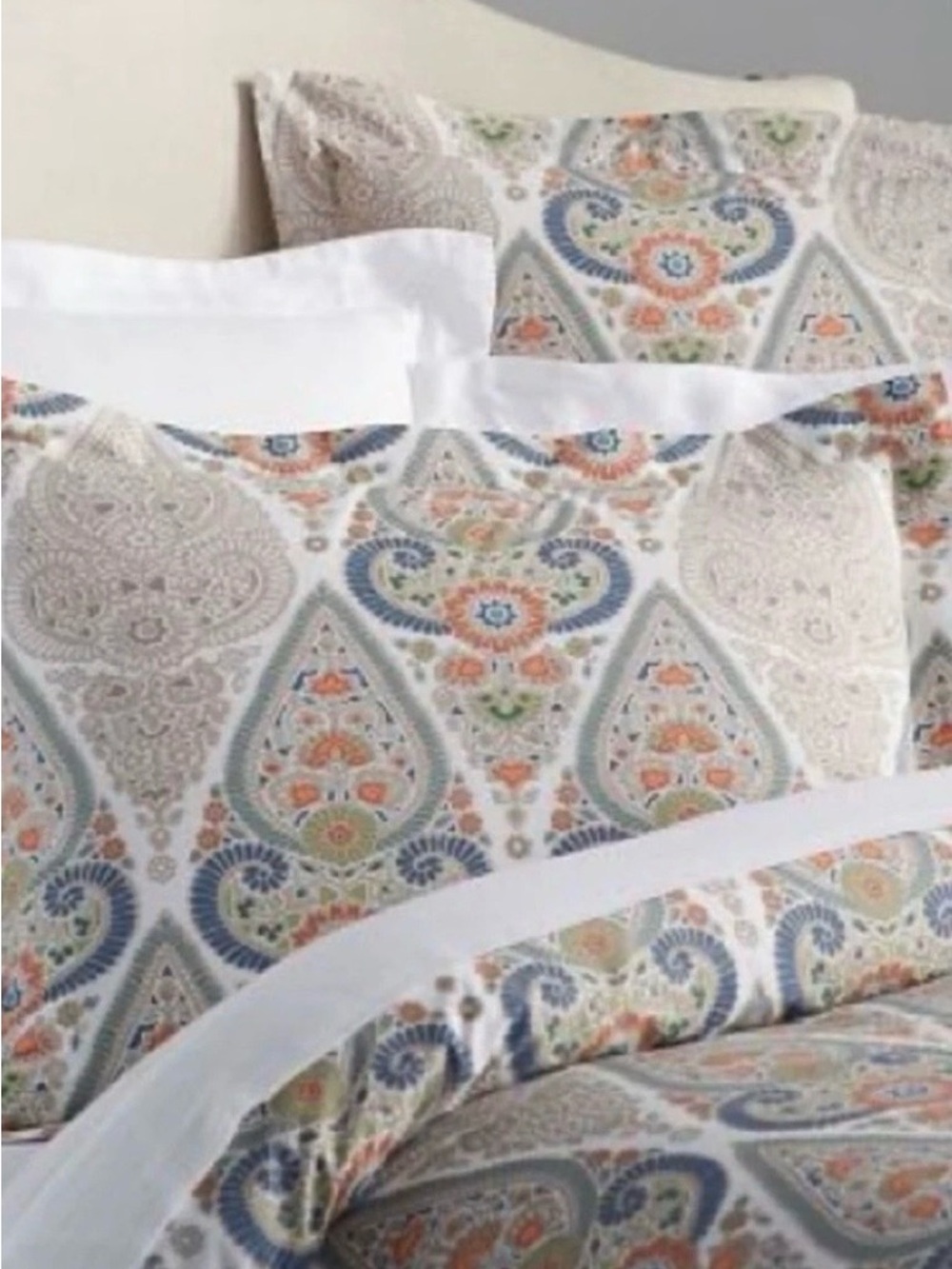 Pottery Barn Gisela Paisley Medallion King Pillow Shams